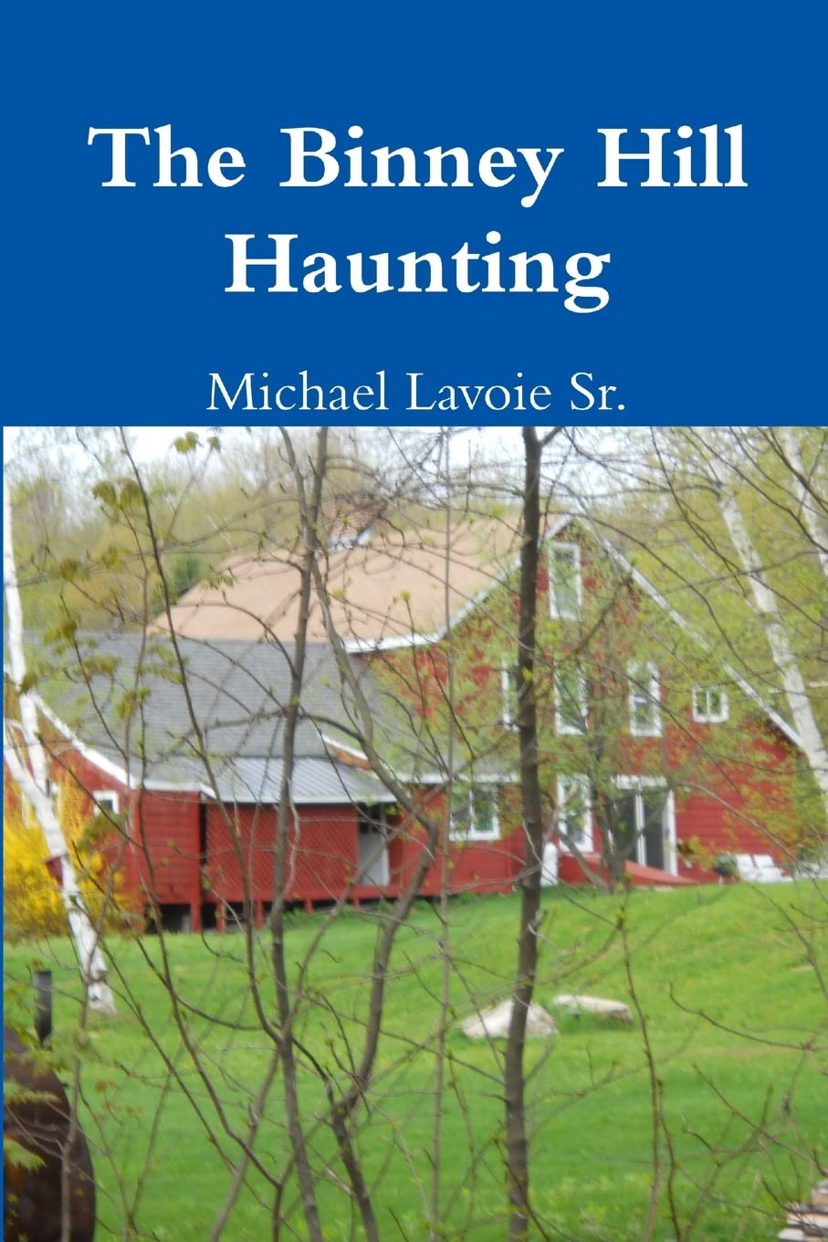 The Binney Hill Haunting poster