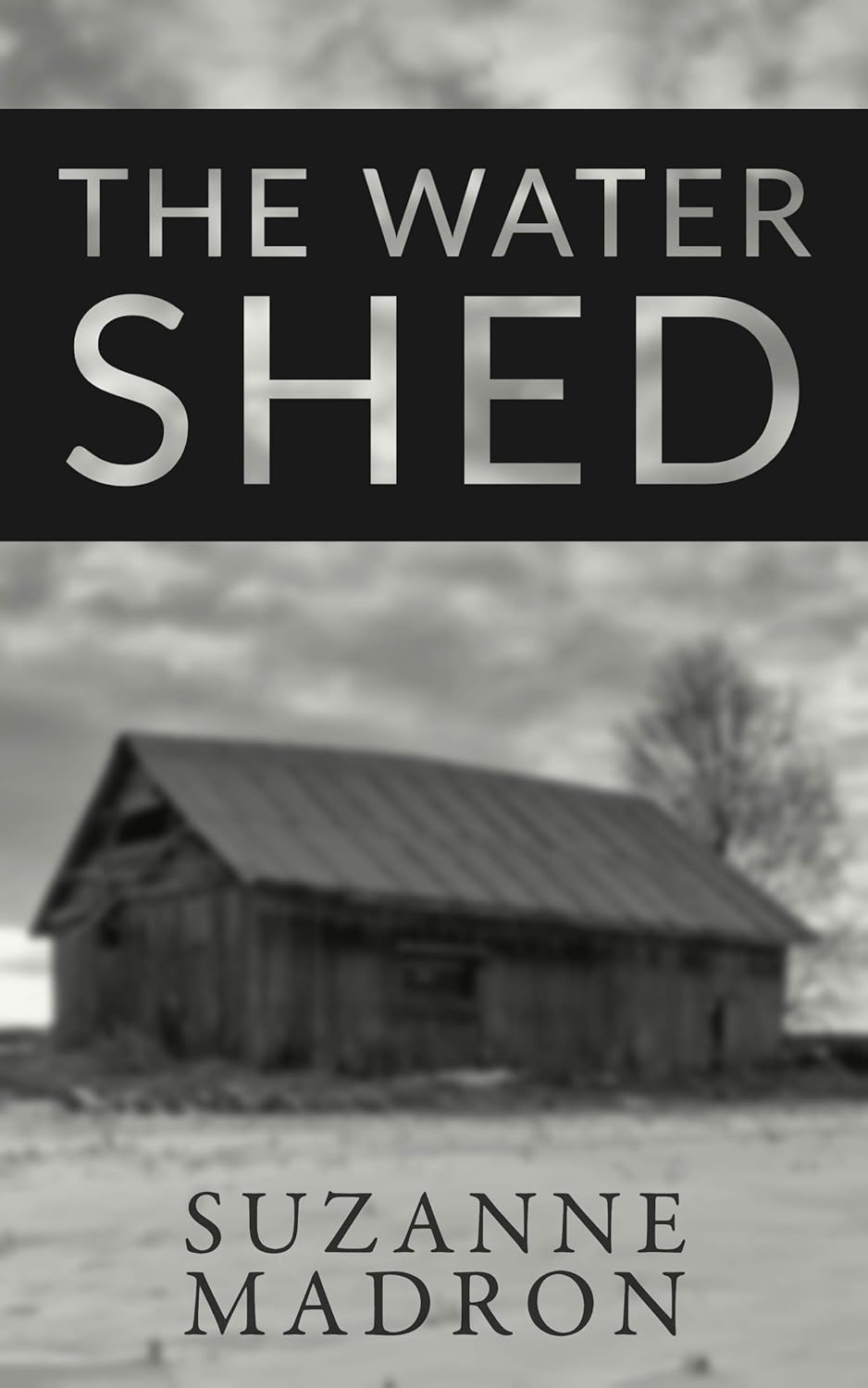 The Water Shed poster