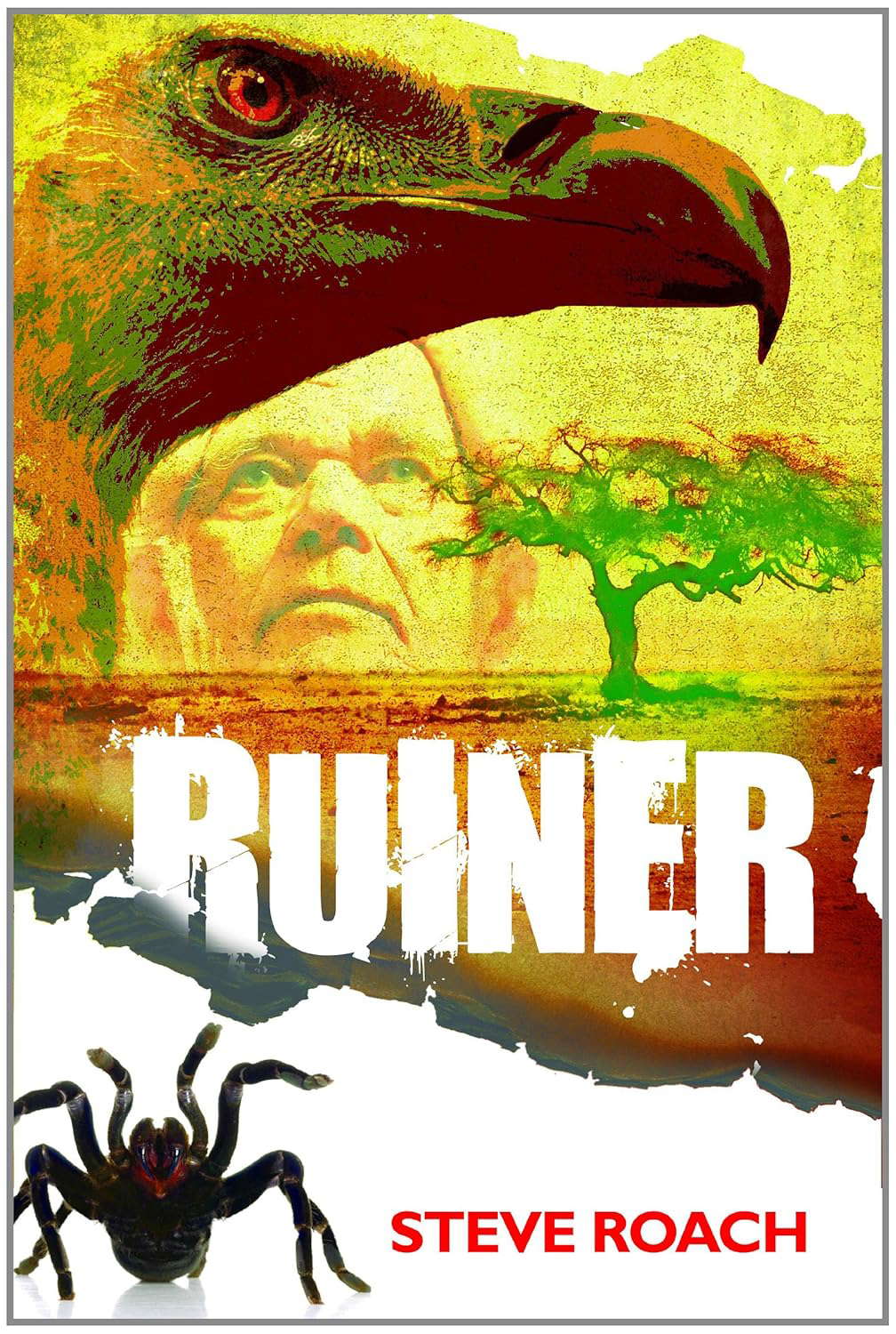 Ruiner poster