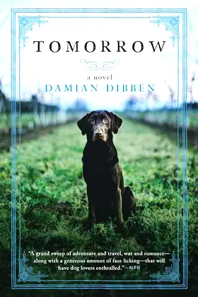 Tomorrow: A Novel poster