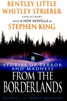 From the Borderlands: Stories of Terror and Madness poster