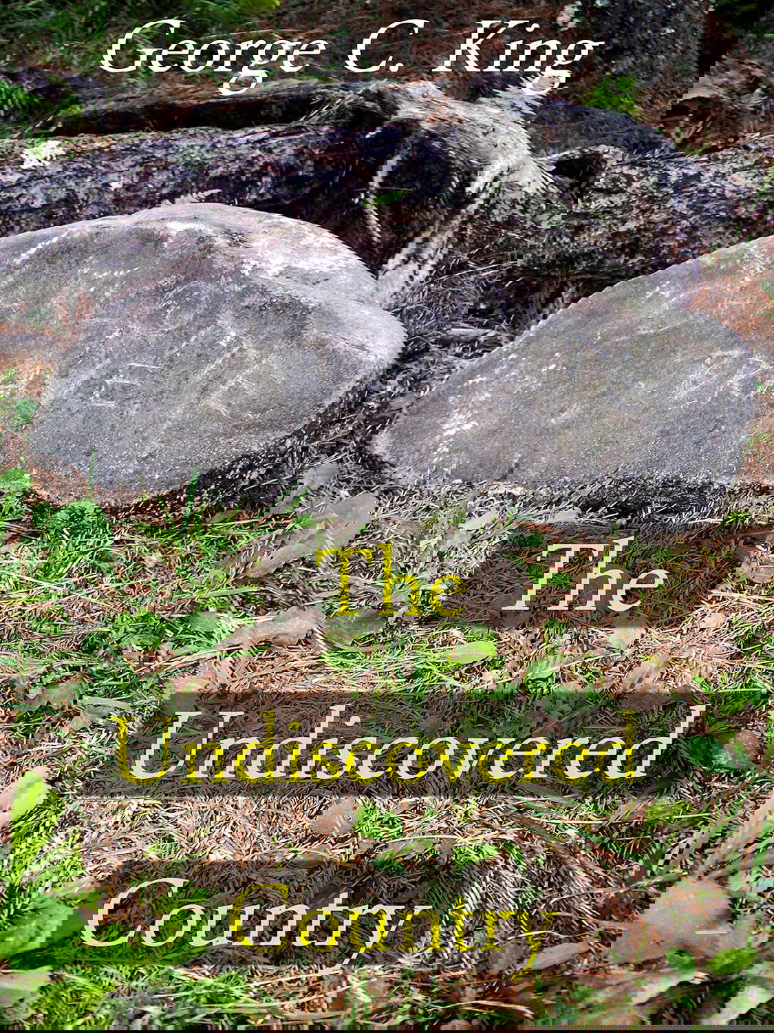 The Undiscovered Country poster