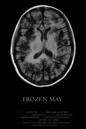 Frozen May poster