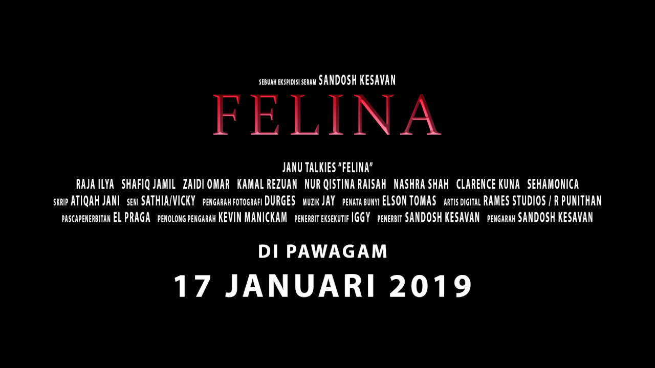 Poster for Felina