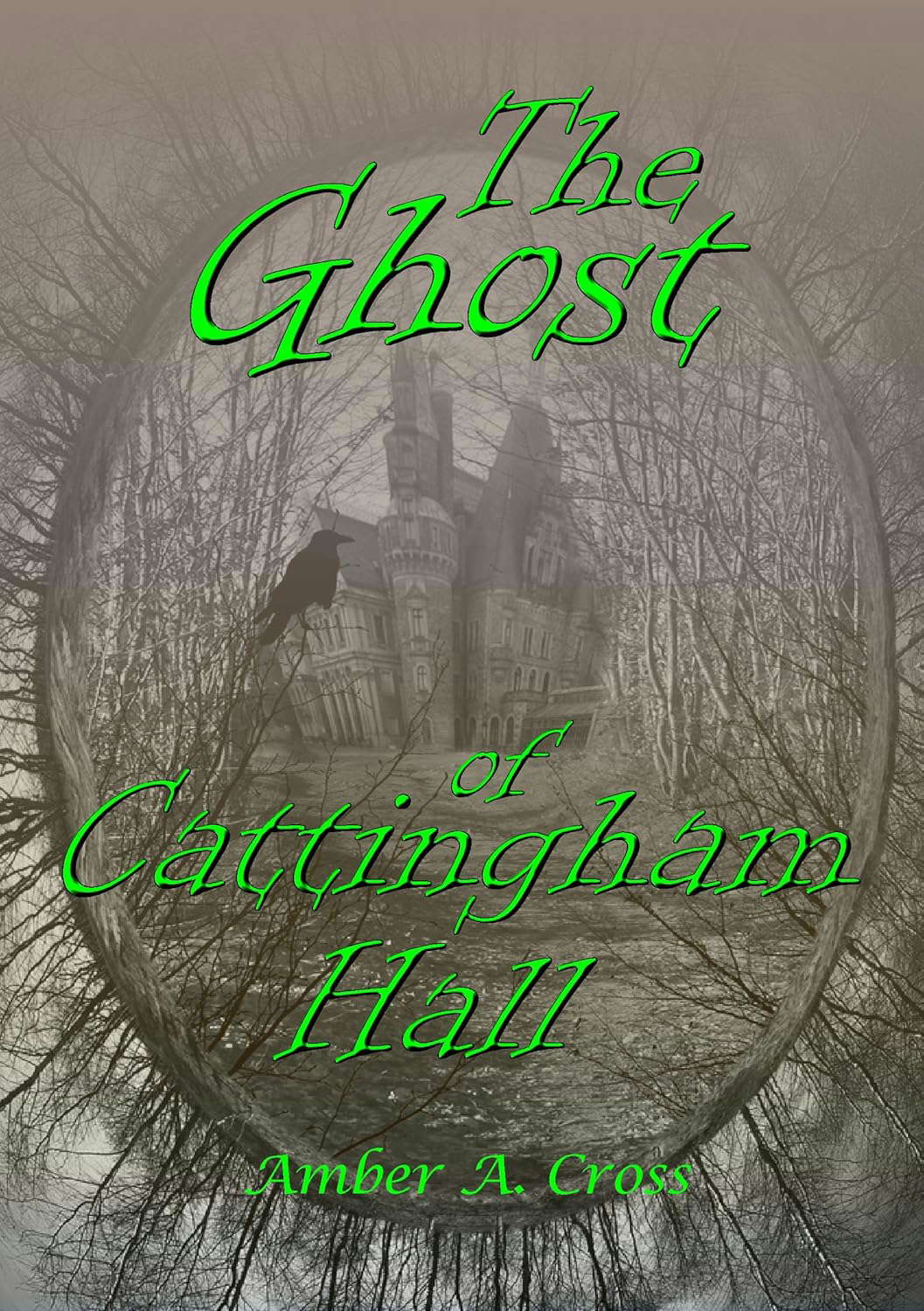 The Ghost of Cattingham Hall poster