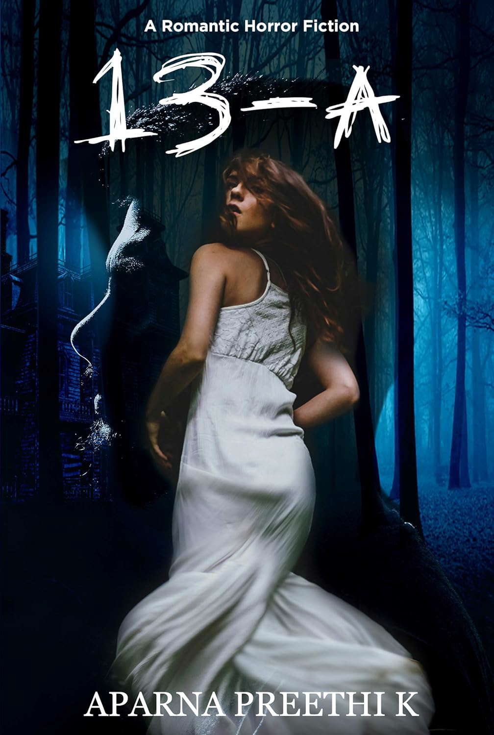 13-A poster
