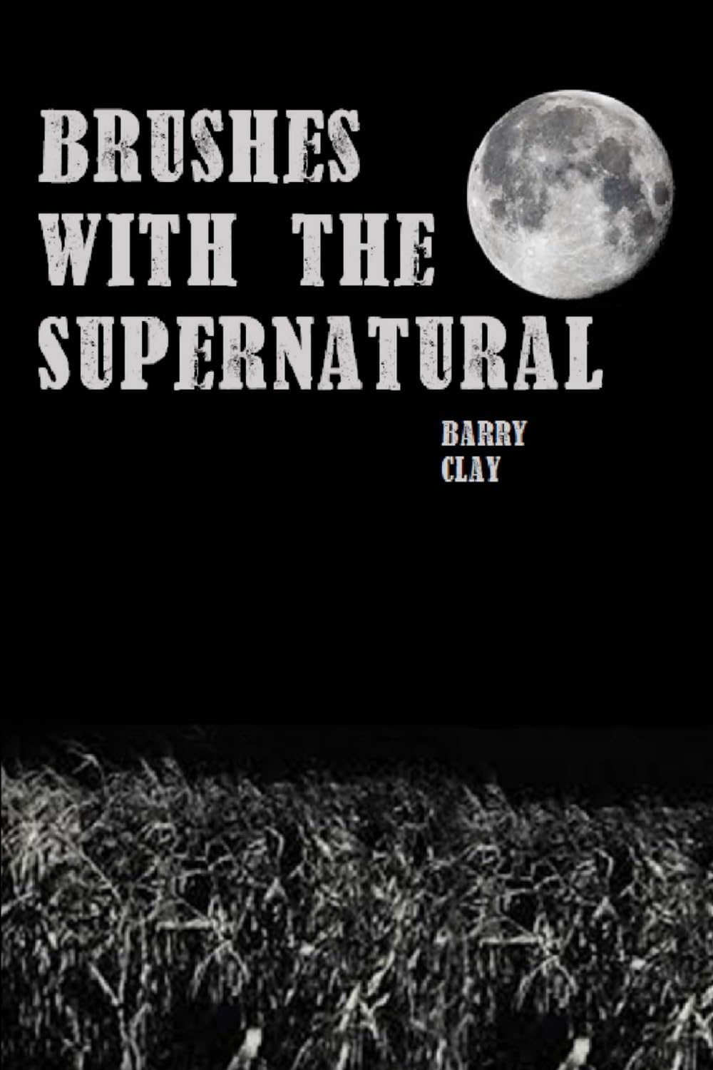 Brushes with the Supernatural poster