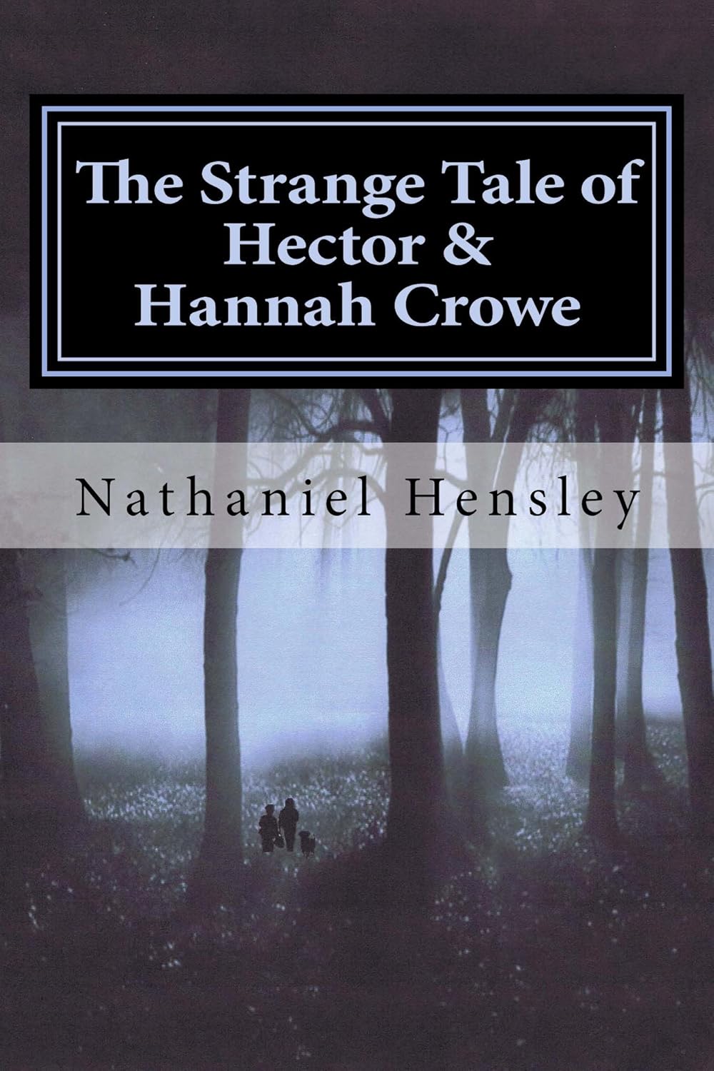 The Strange Tale of Hector and Hannah Crowe poster