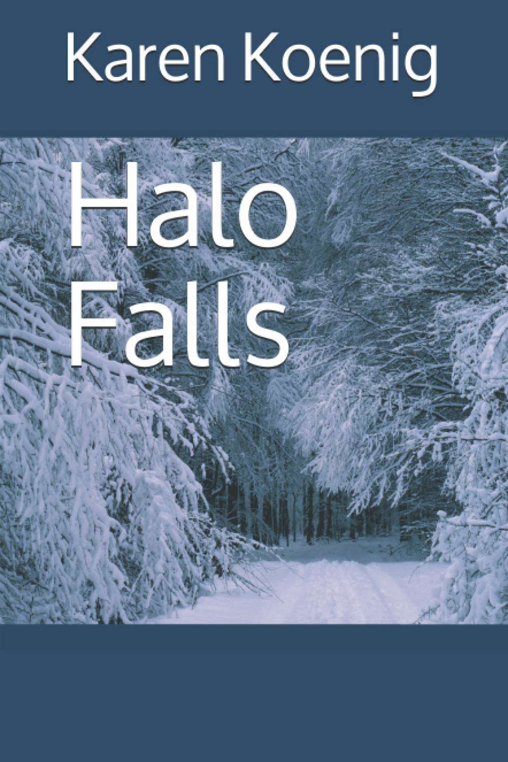 Halo Falls poster