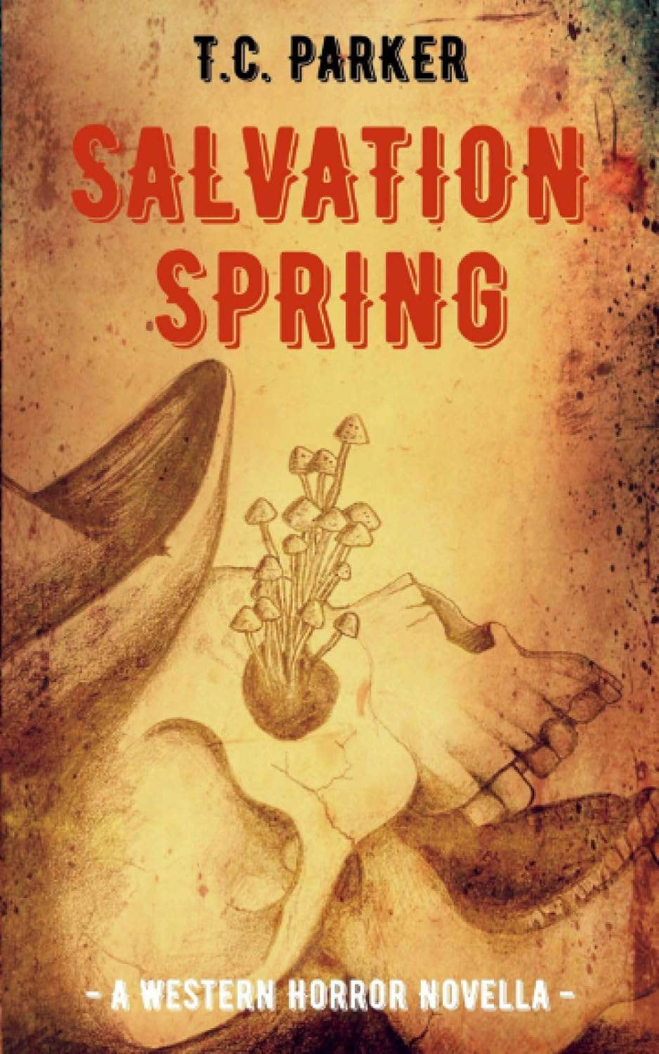 Salvation Spring: A Novella poster