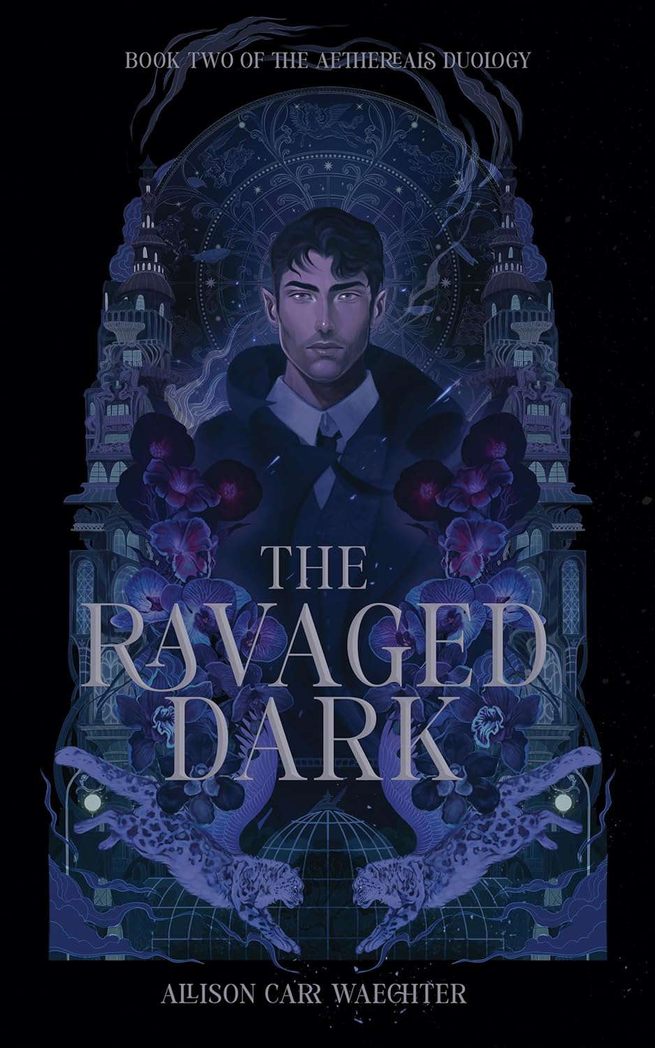 The Ravaged Dark (The Aethereals Duology Book 2) poster