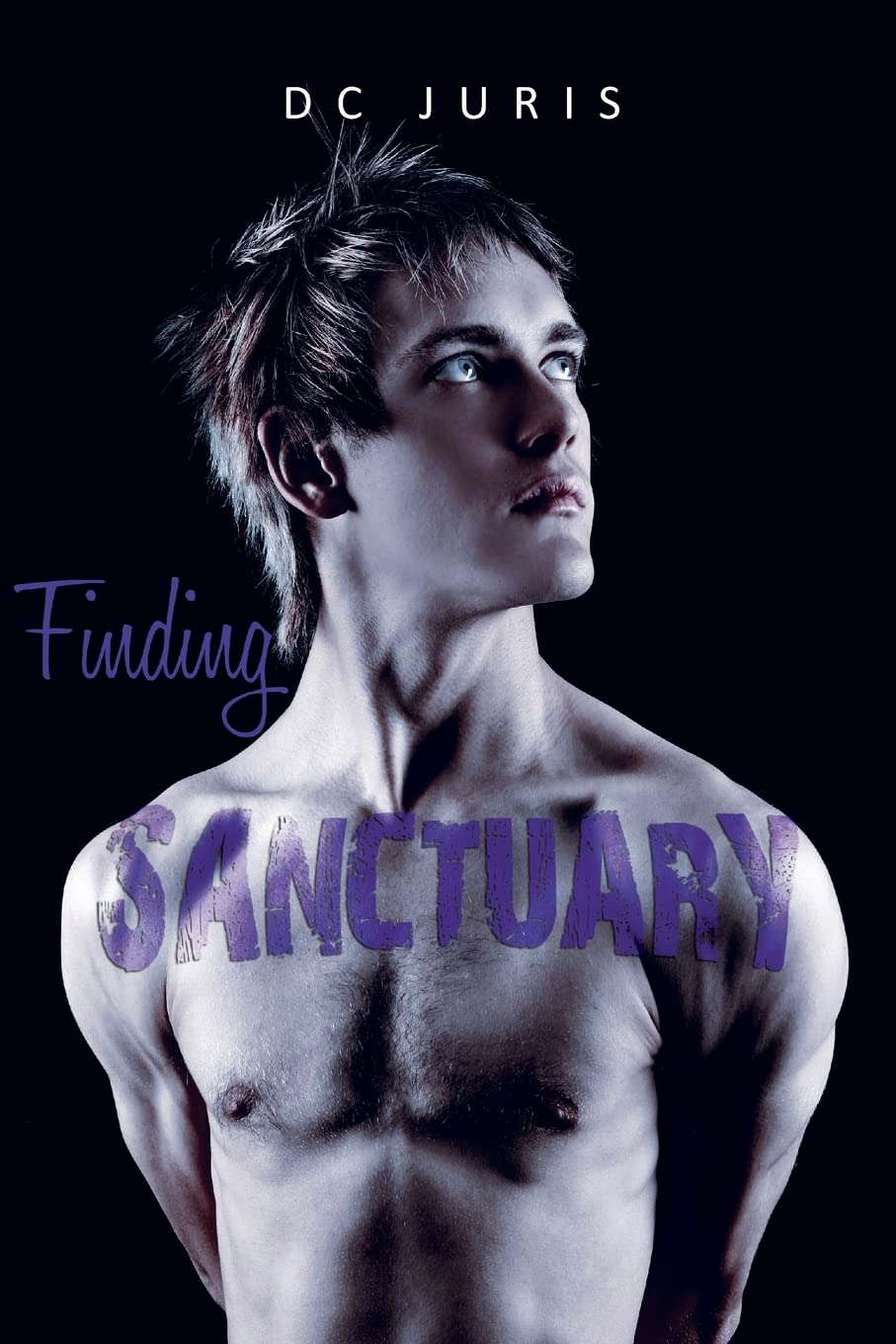 Finding Sanctuary poster