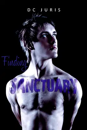 Finding Sanctuary poster