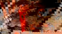 episode poster
