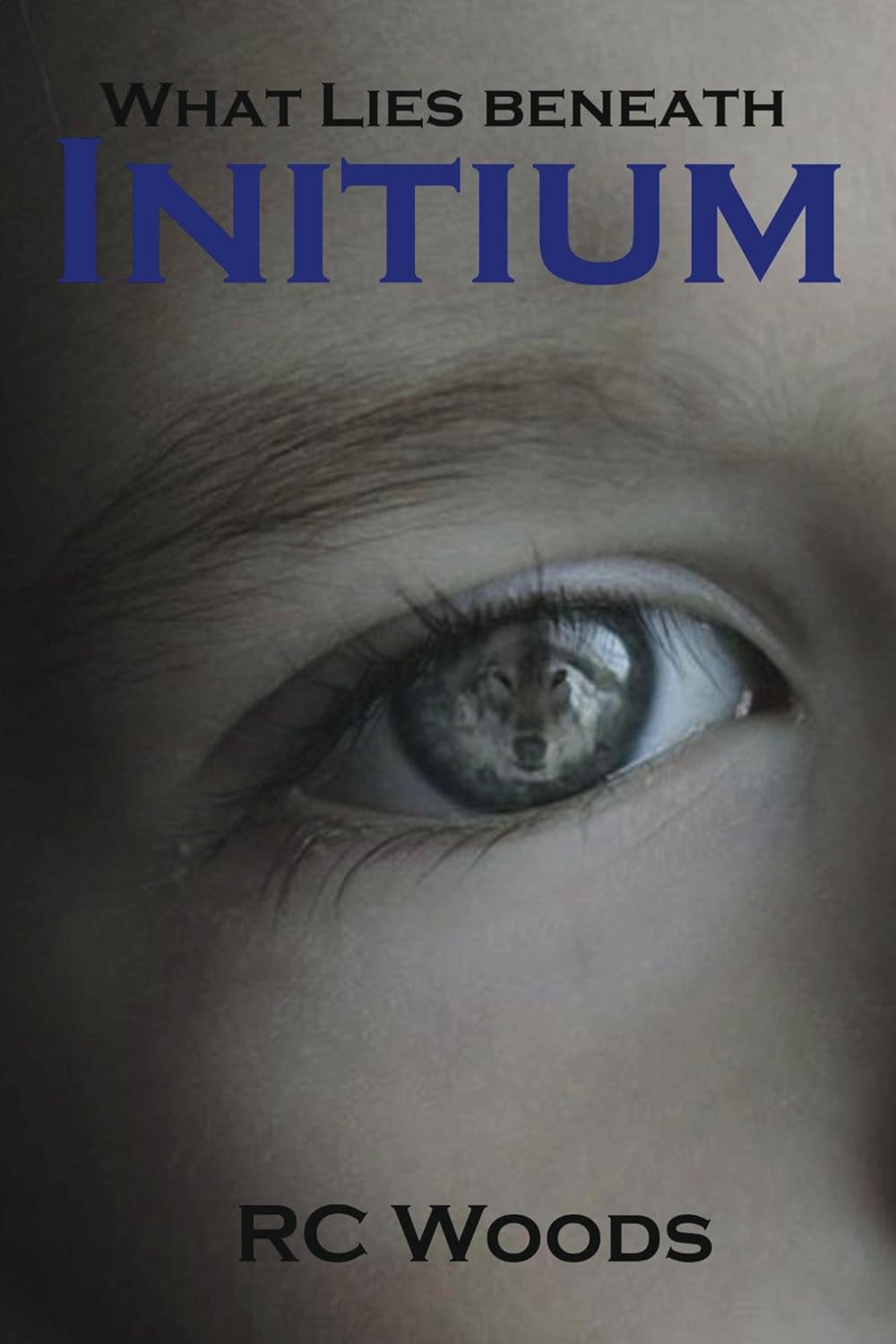 Initium: What Lies Beneath (The Brothers Series) poster