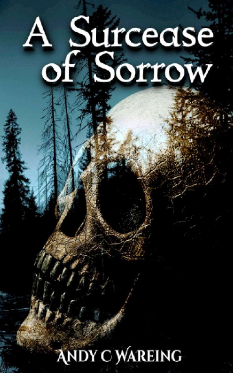 A Surcease of Sorrow poster