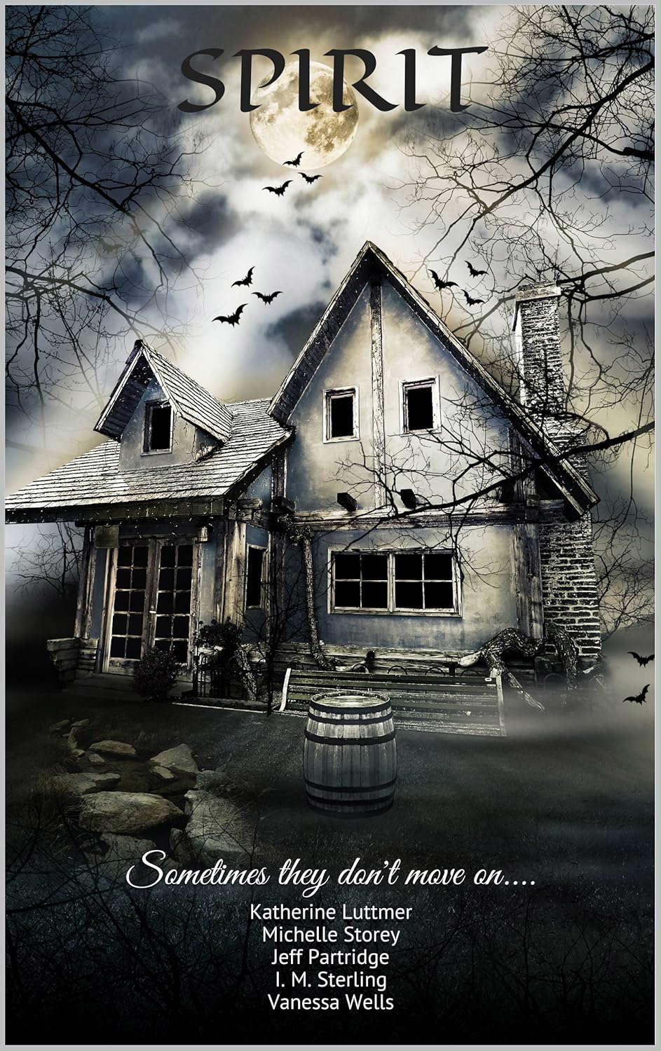 Spirit: Sometimes they don't move on.... poster