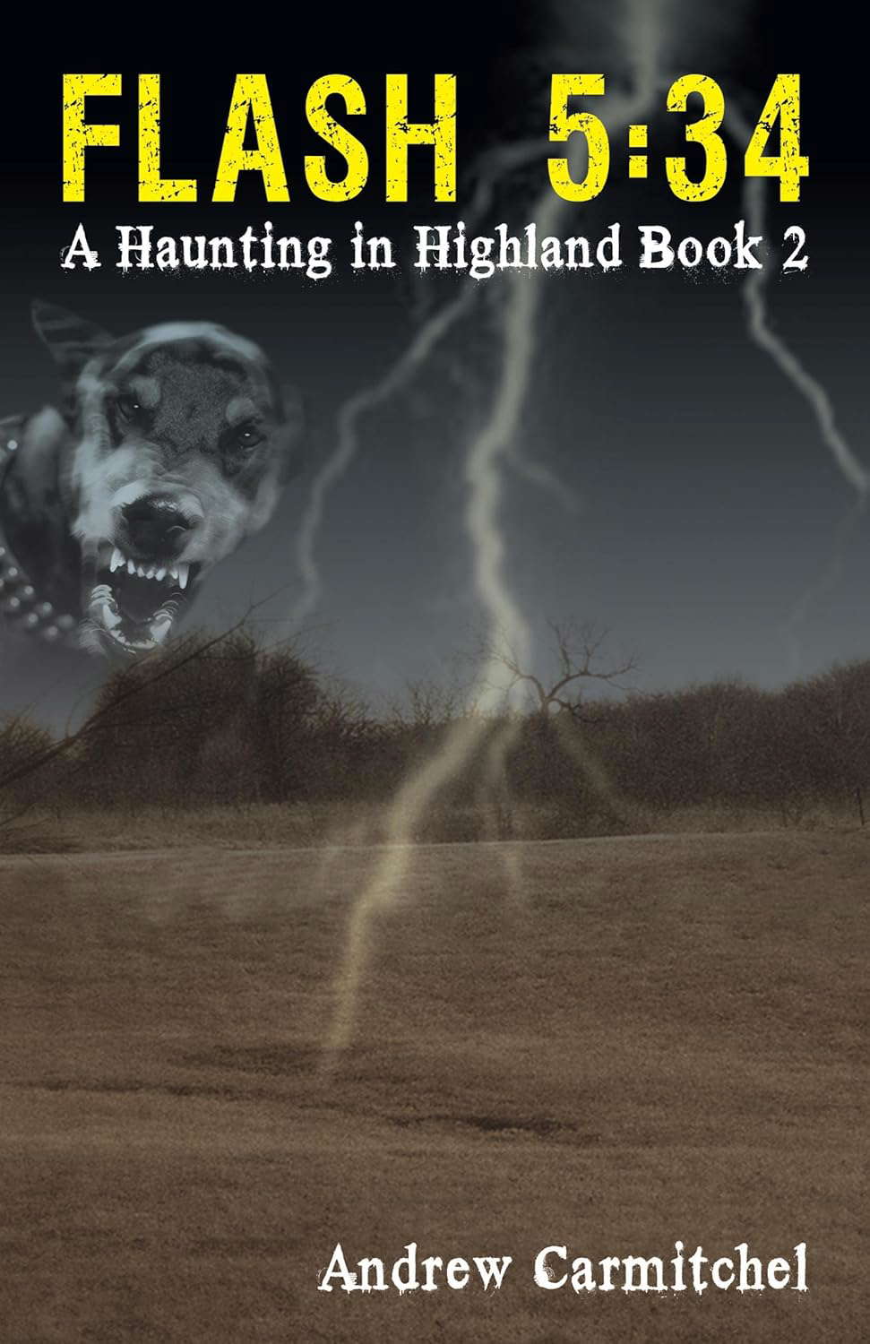 Flash 5:34: A Haunting in Highland, Book 2 poster