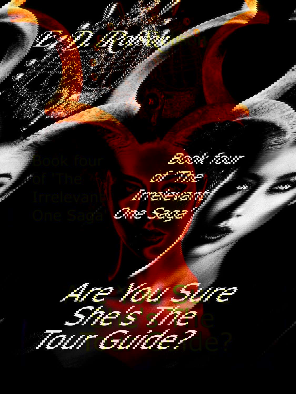 Are You Sure She's The Tour Guide?: Book Four of the Irrelevant One Saga poster