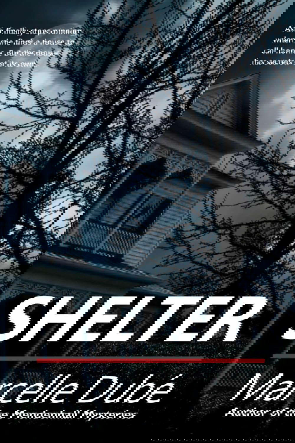 Shelter poster