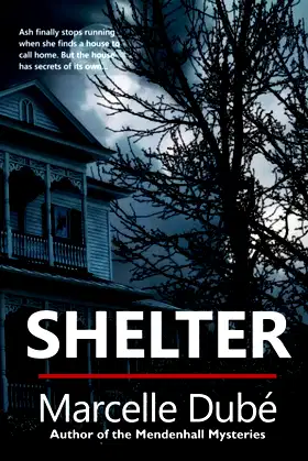 Shelter poster