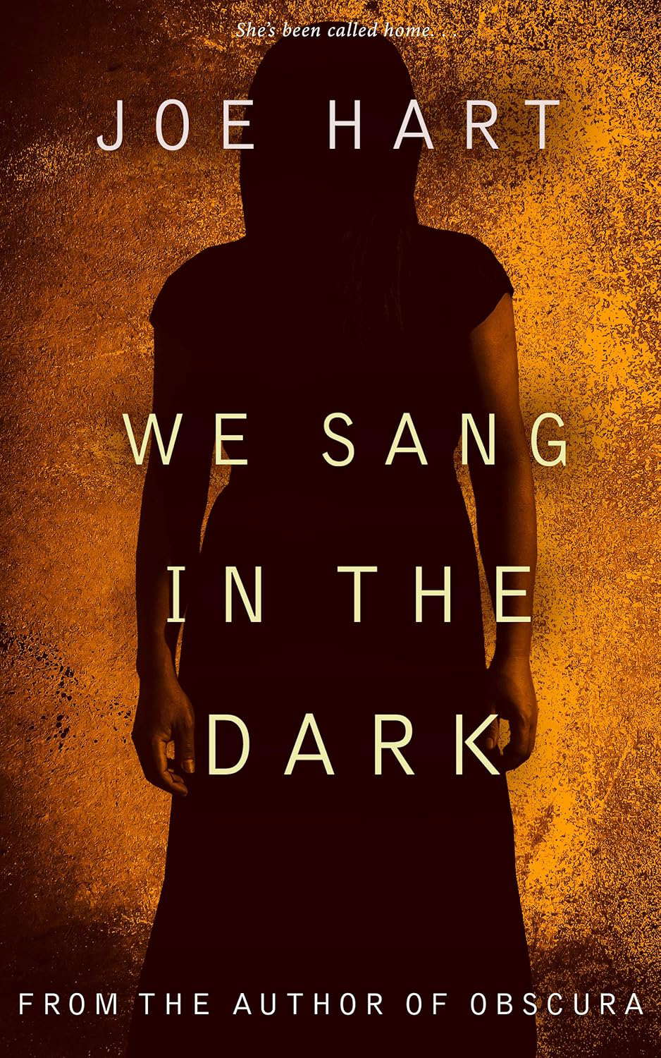 We Sang In The Dark poster