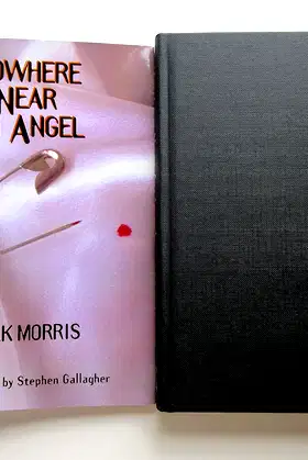 Nowhere Near an Angel poster