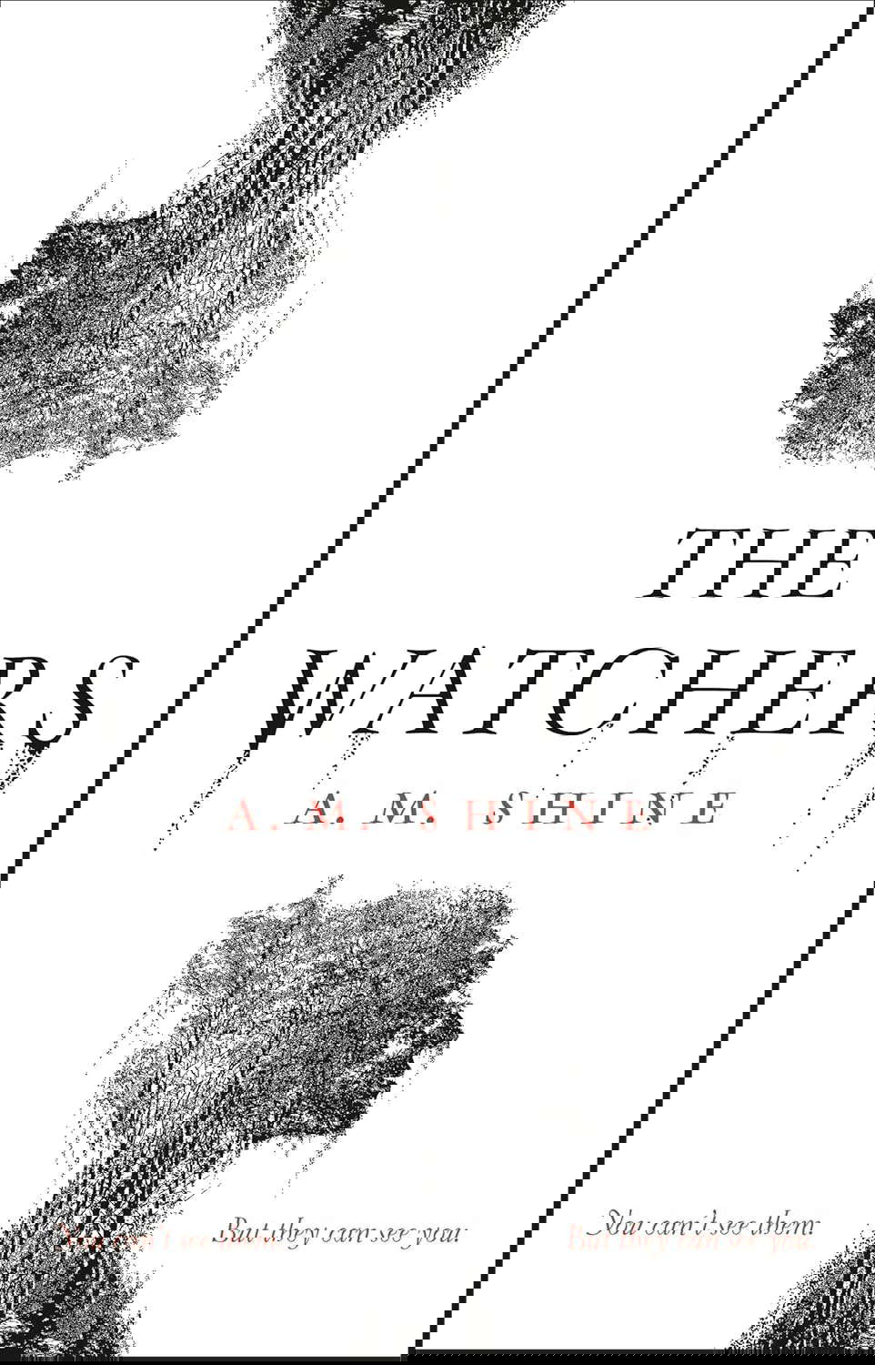 The Watchers: a spine-chilling Gothic horror novel poster