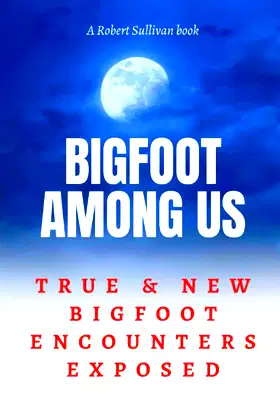 BIGFOOT AMONG US: TRUE AND NEW Bigfoot Encounters Exposed poster