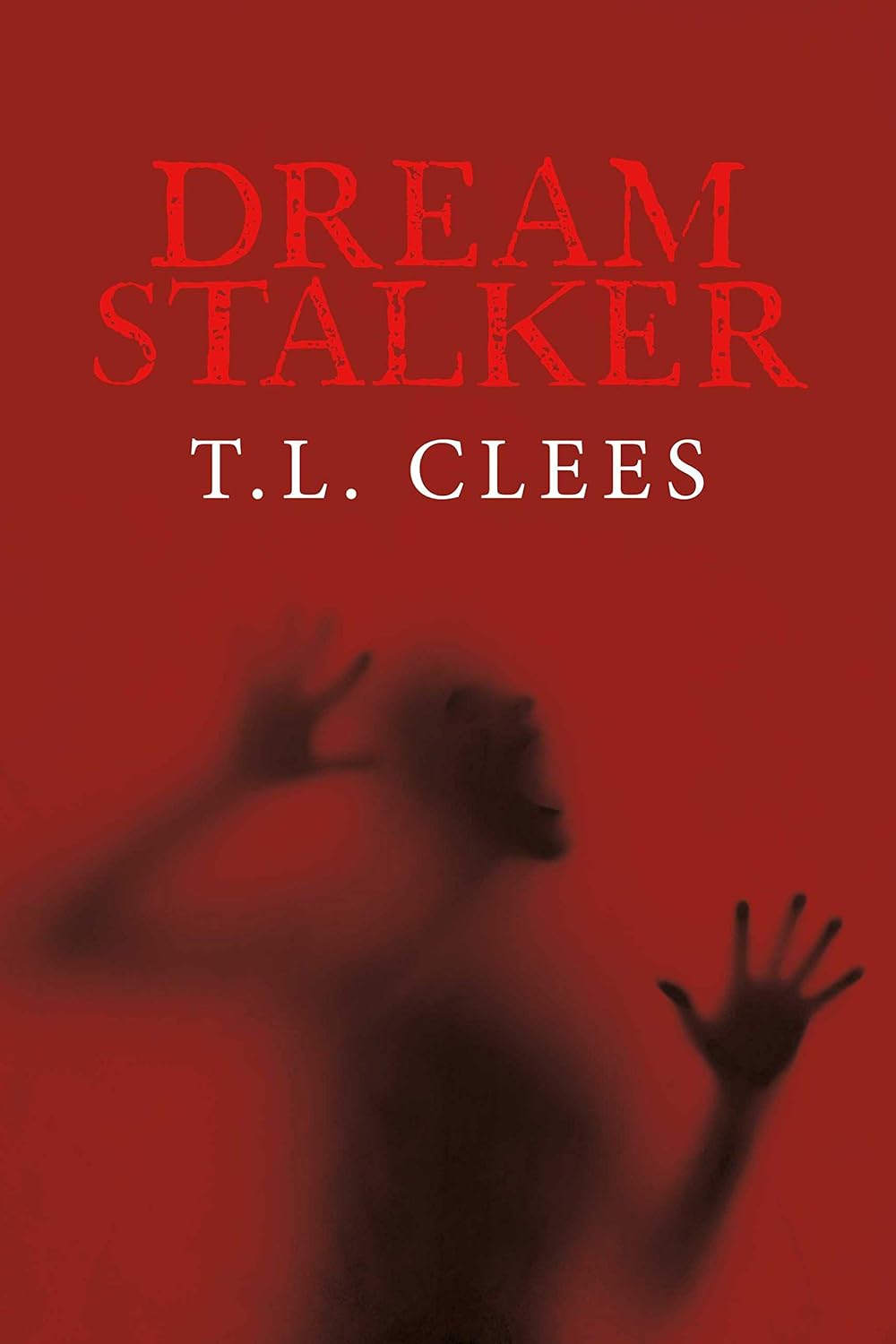 The Dream Stalker poster