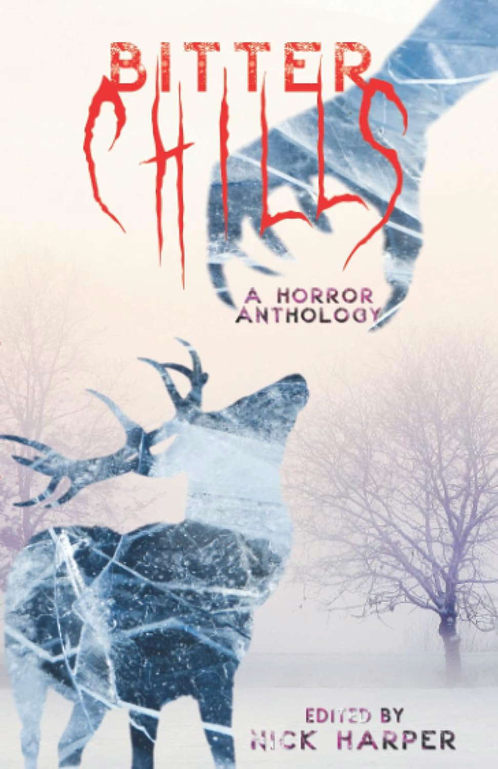 Bitter Chills: A Horror Anthology poster