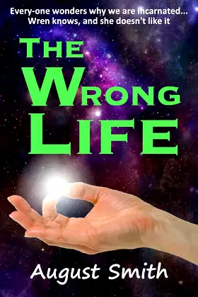 The Wrong Life *** TOP 3 BOOK ***: Life Again...and again. poster