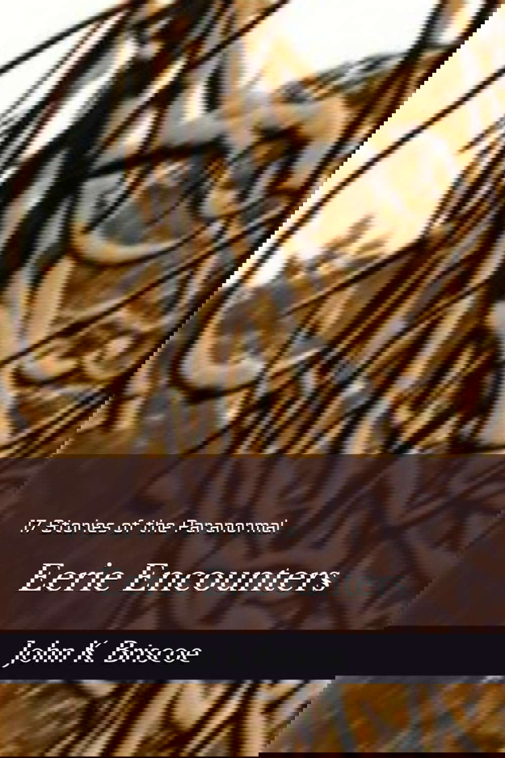 Eerie Encounters: 17 Stories of the Paranormal poster