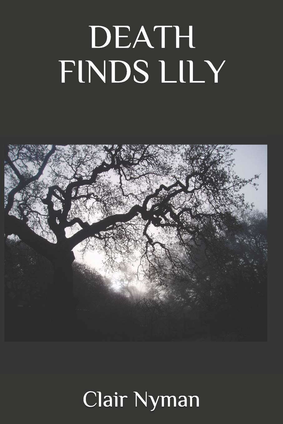 DEATH FINDS LILY poster