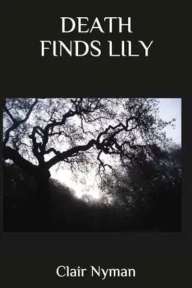 DEATH FINDS LILY poster