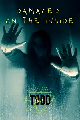 Damaged On The Inside poster