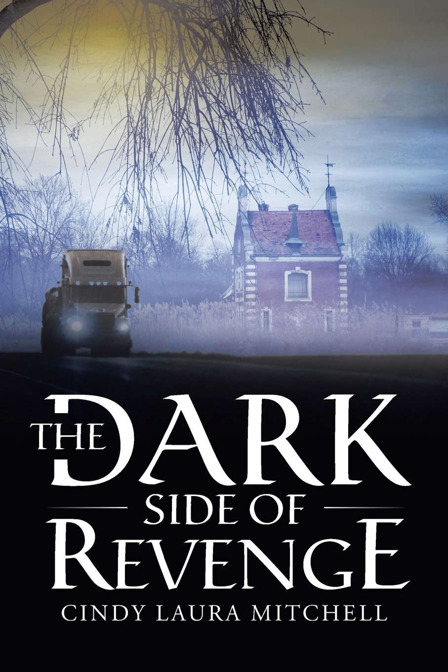 The Dark Side of Revenge poster