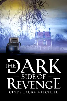 The Dark Side of Revenge poster