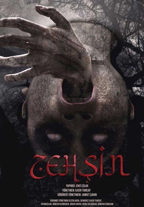 Zehşin Cin-i Musallat poster