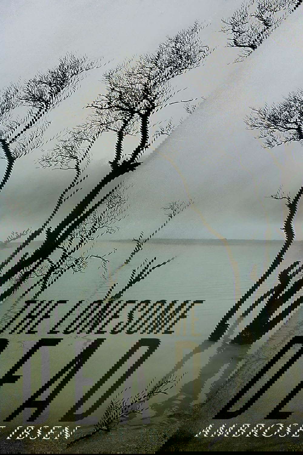 The Lonesome Dead poster
