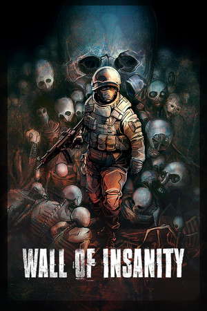 Wall of insanity poster