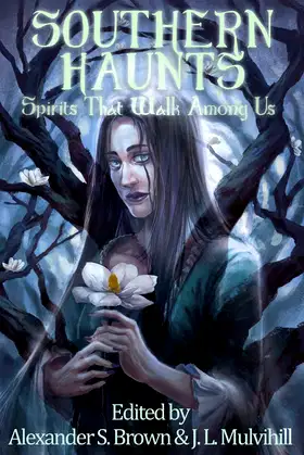 Southern Haunts: Spirits That Walk Among Us poster