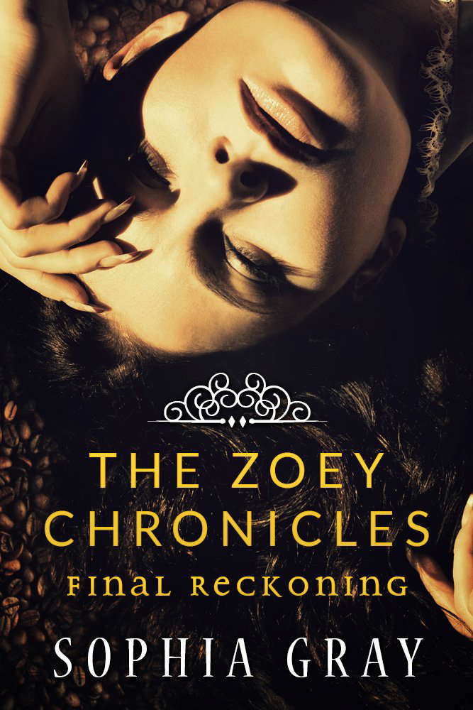 The Zoey Chronicles: Final Reckoning (Vol. 4) poster