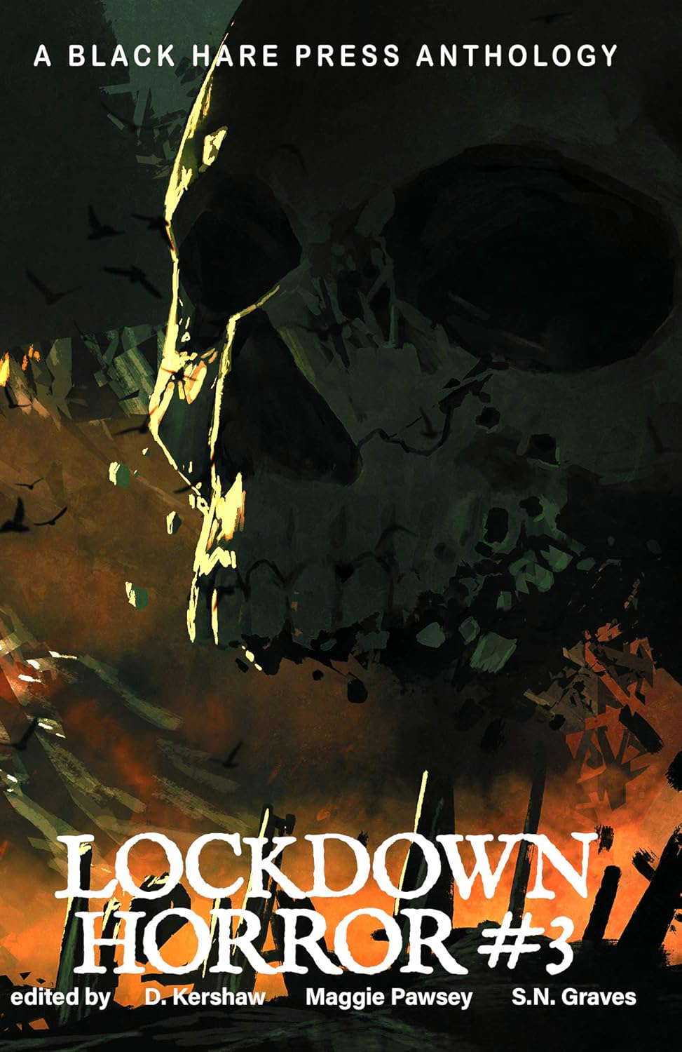 HORROR #3: Lockdown Horror poster