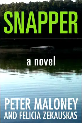 Snapper poster