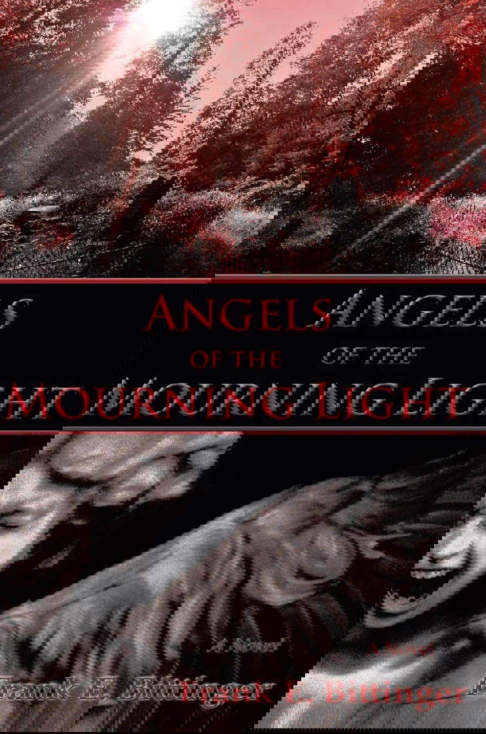 Angels of the Mourning Light poster