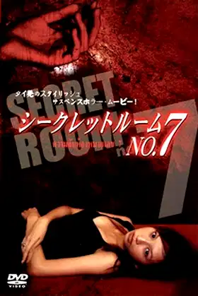 Secret Room No. 7 poster