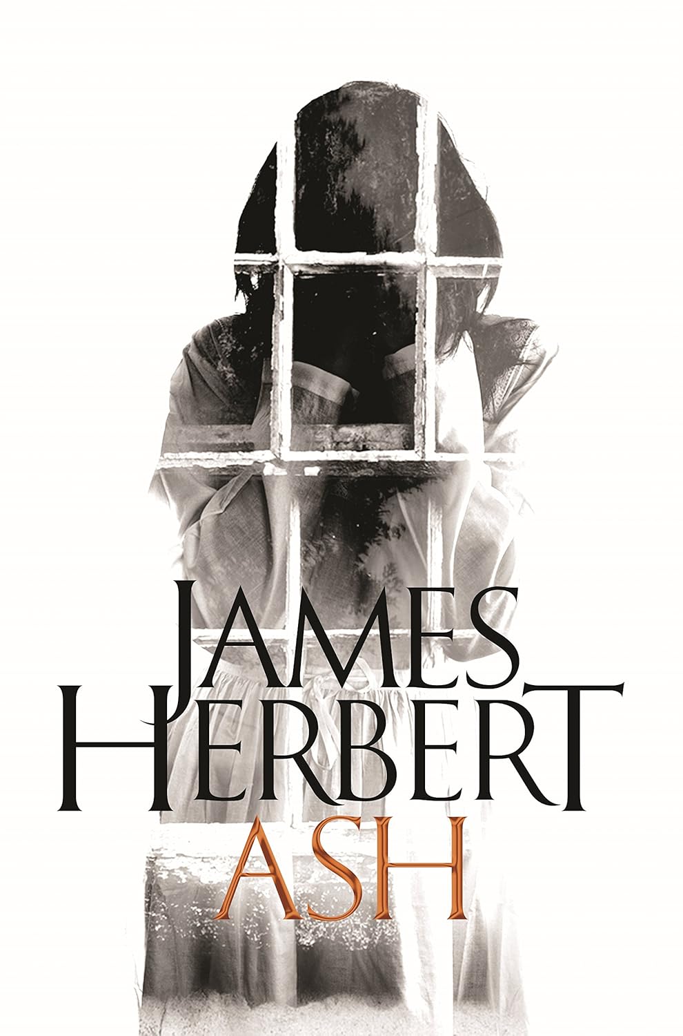 Ash (David Ash Book 3) poster