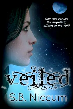 Veiled: Veiled Series poster