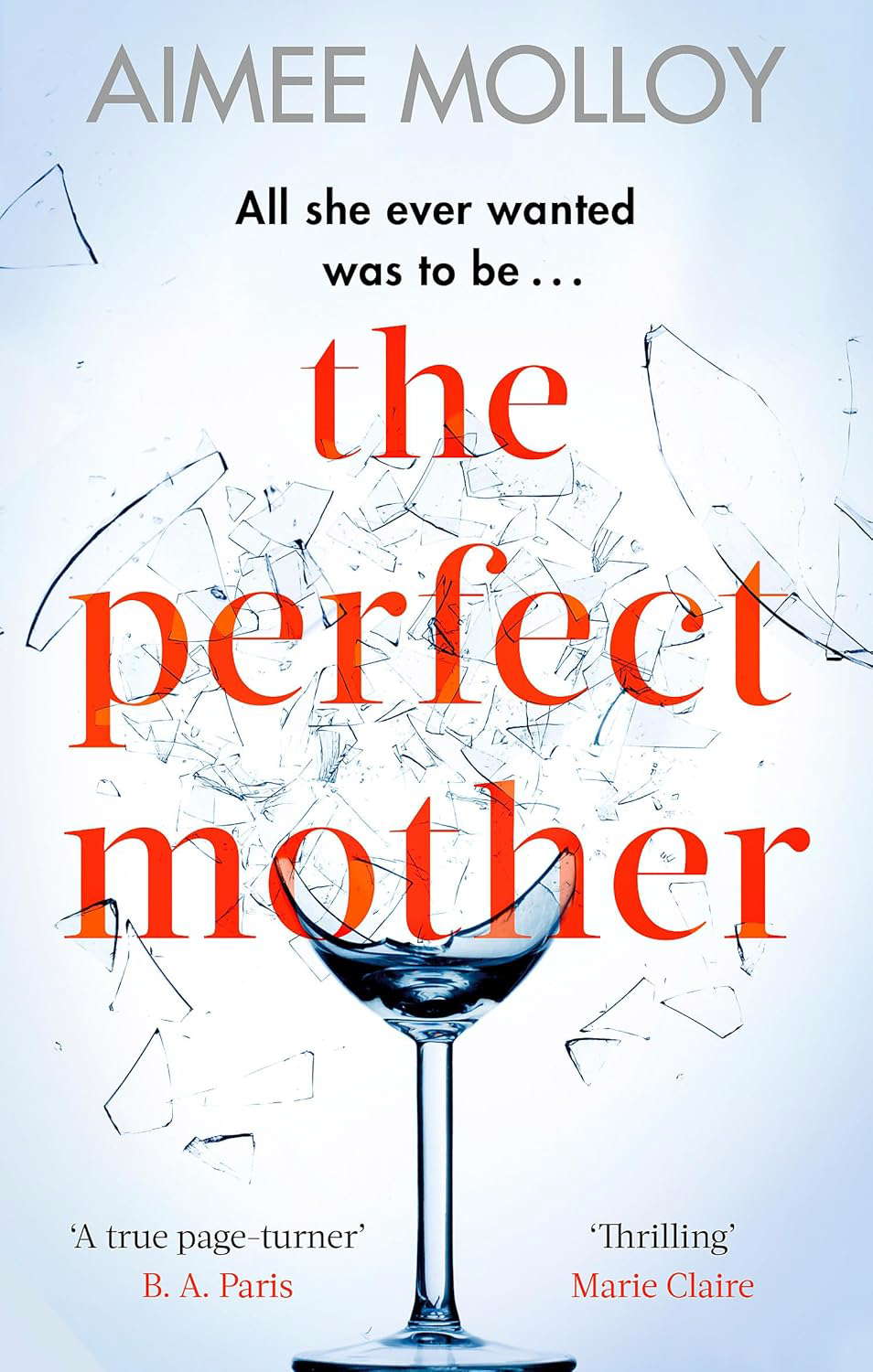 Perfect Mother poster